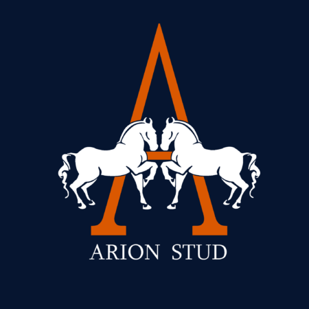 Arion Stud